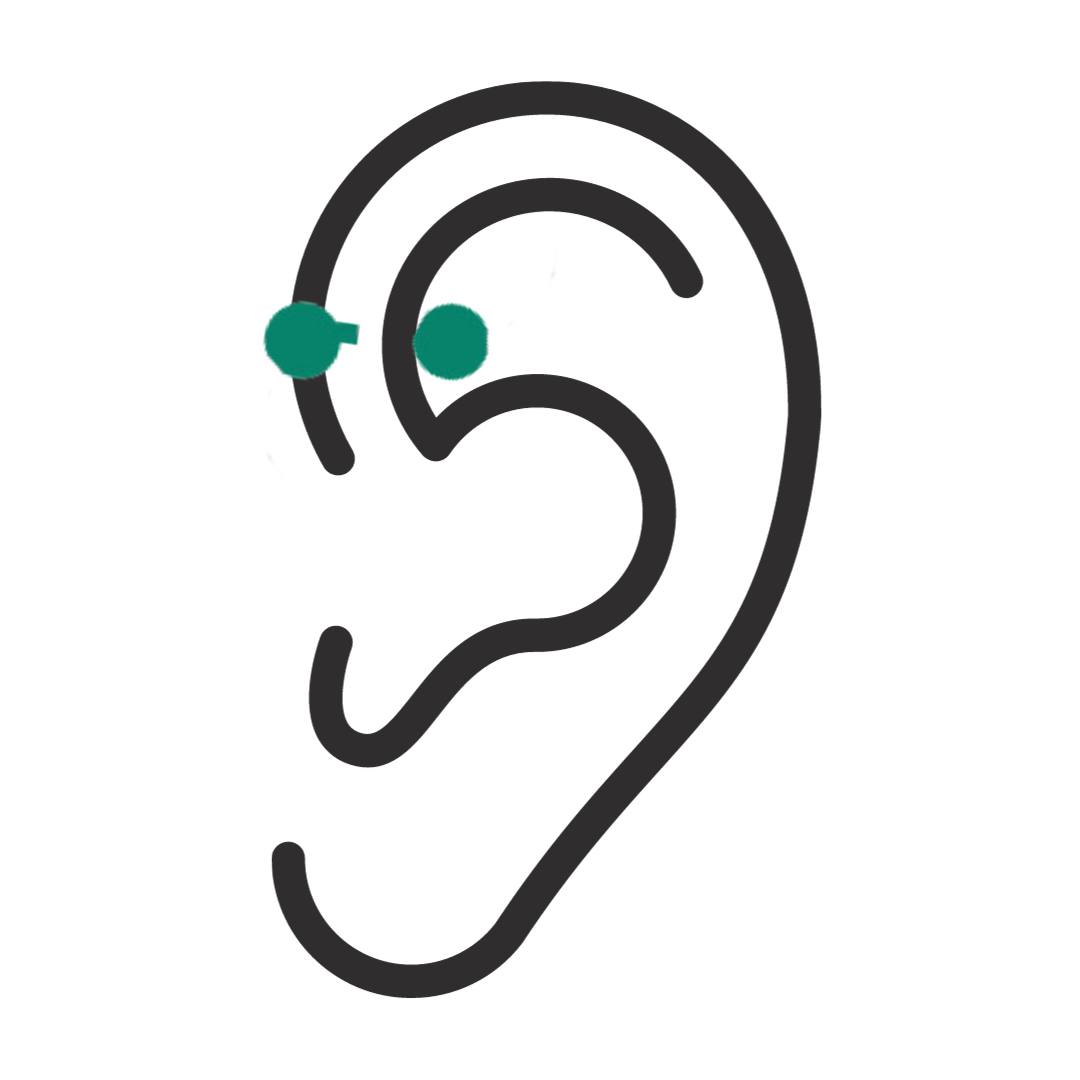 diagram of forward helix piercing in ear