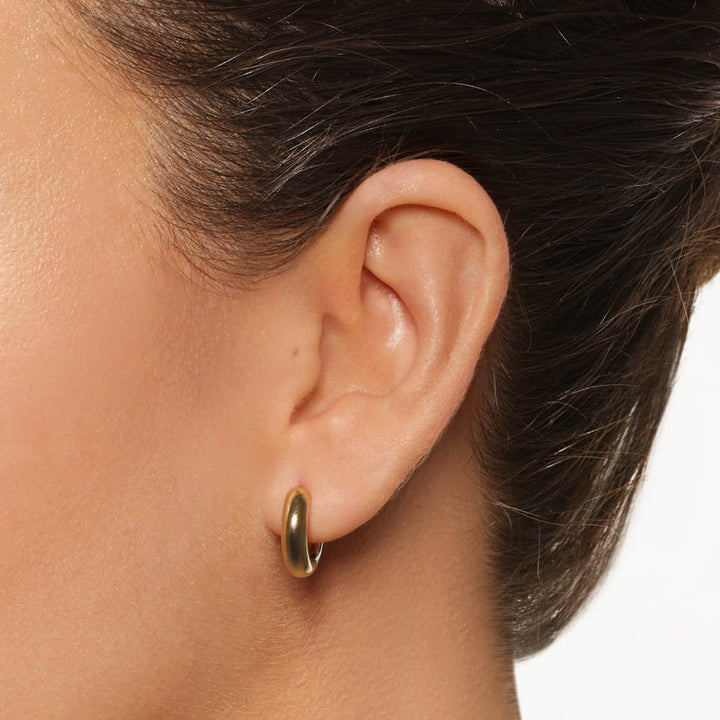 Medley Earrings Mini Mixed Metal Reversible Hoop Earring in Gold