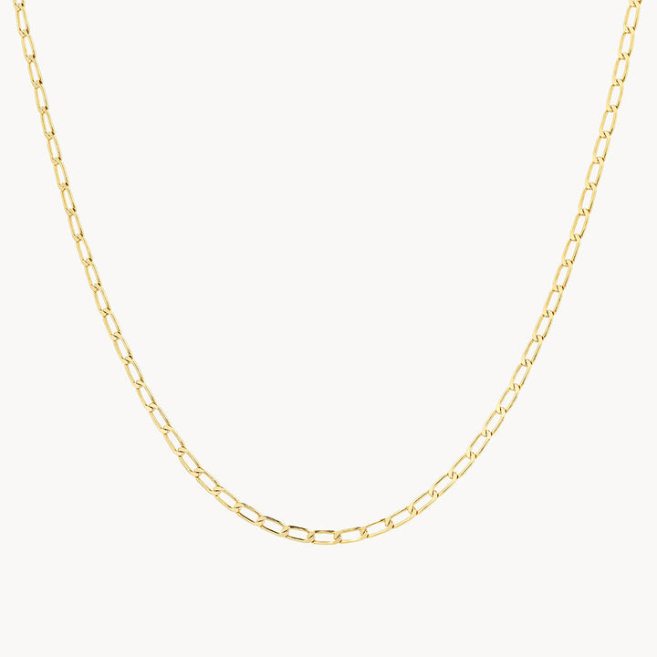Medley Necklace Thin Flat Curb Chain Necklace in Gold