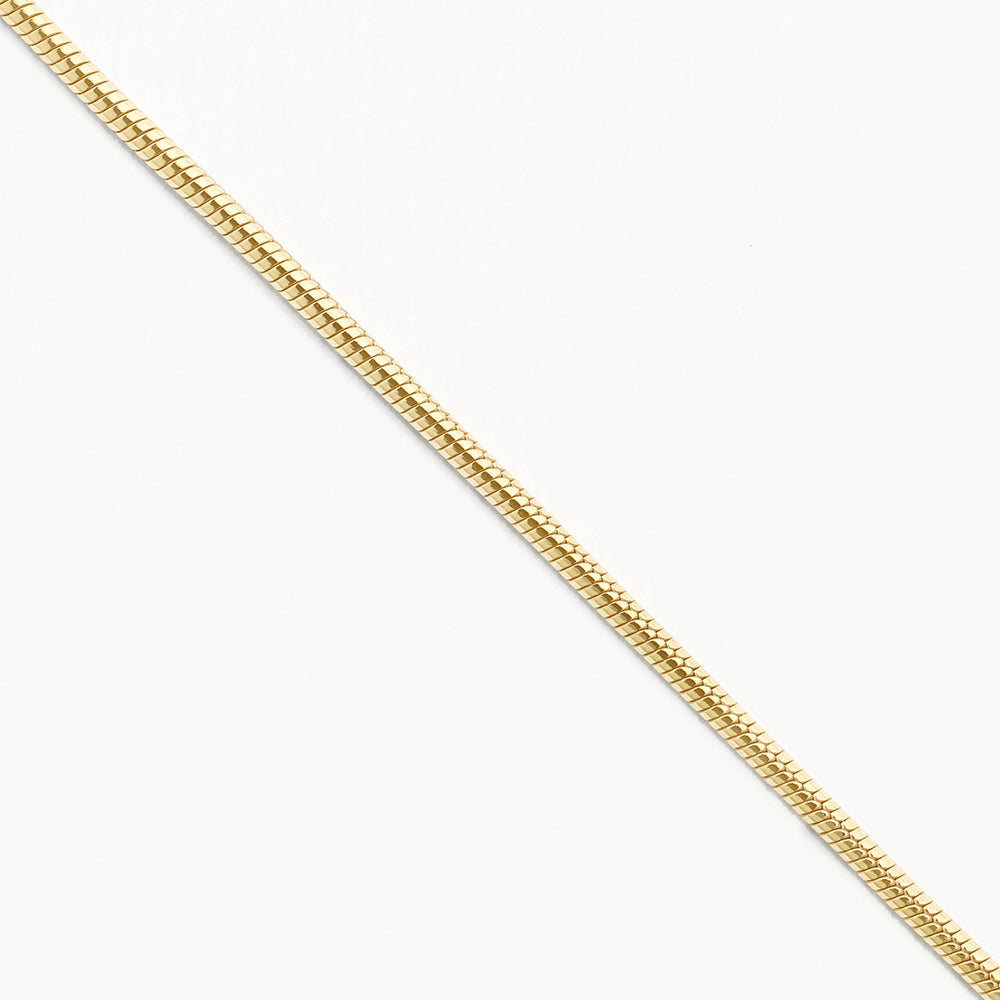 Medley Necklace Fine Snake Chain Necklace in Gold