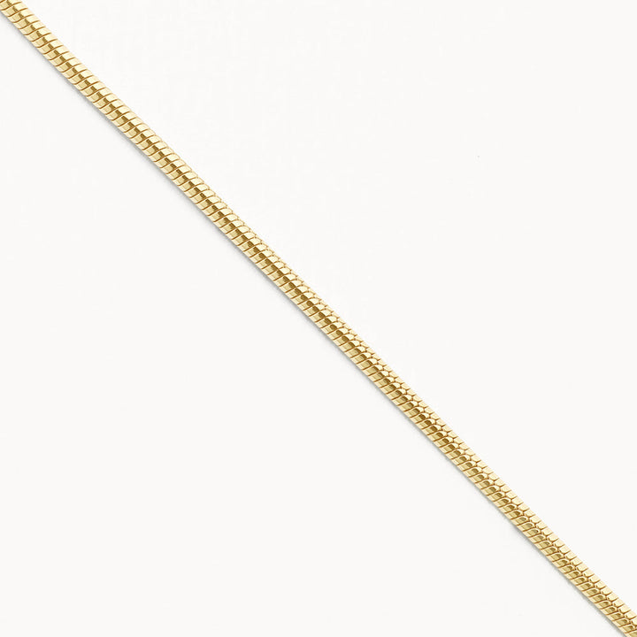 Medley Necklace Fine Snake Chain Necklace in Gold