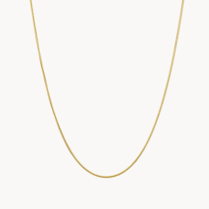 Medley Necklace Fine Snake Chain Necklace in Gold