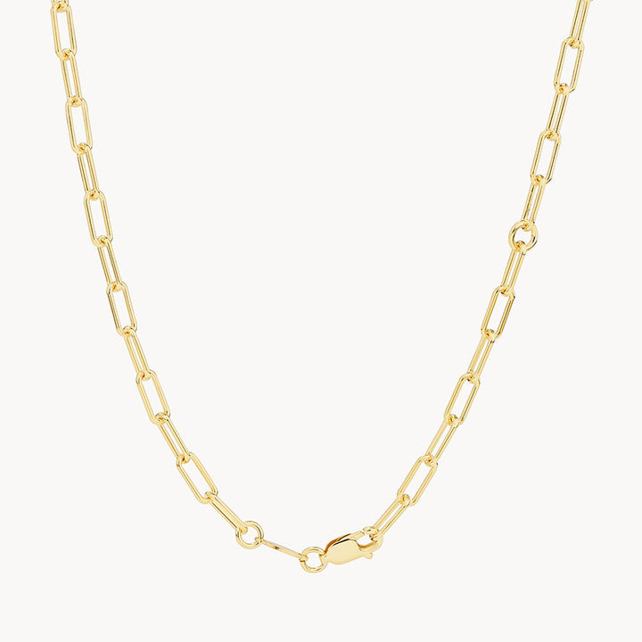 Medley Necklace Paperclip Chain Necklace in Gold