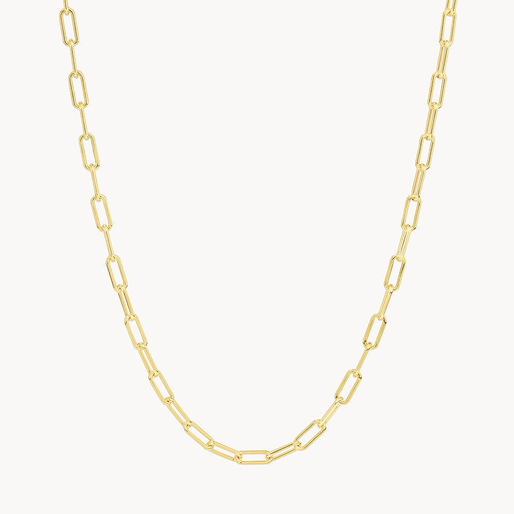 Medley Necklace Paperclip Chain Necklace in Gold