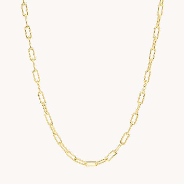 Medley Necklace Paperclip Chain Necklace in Gold