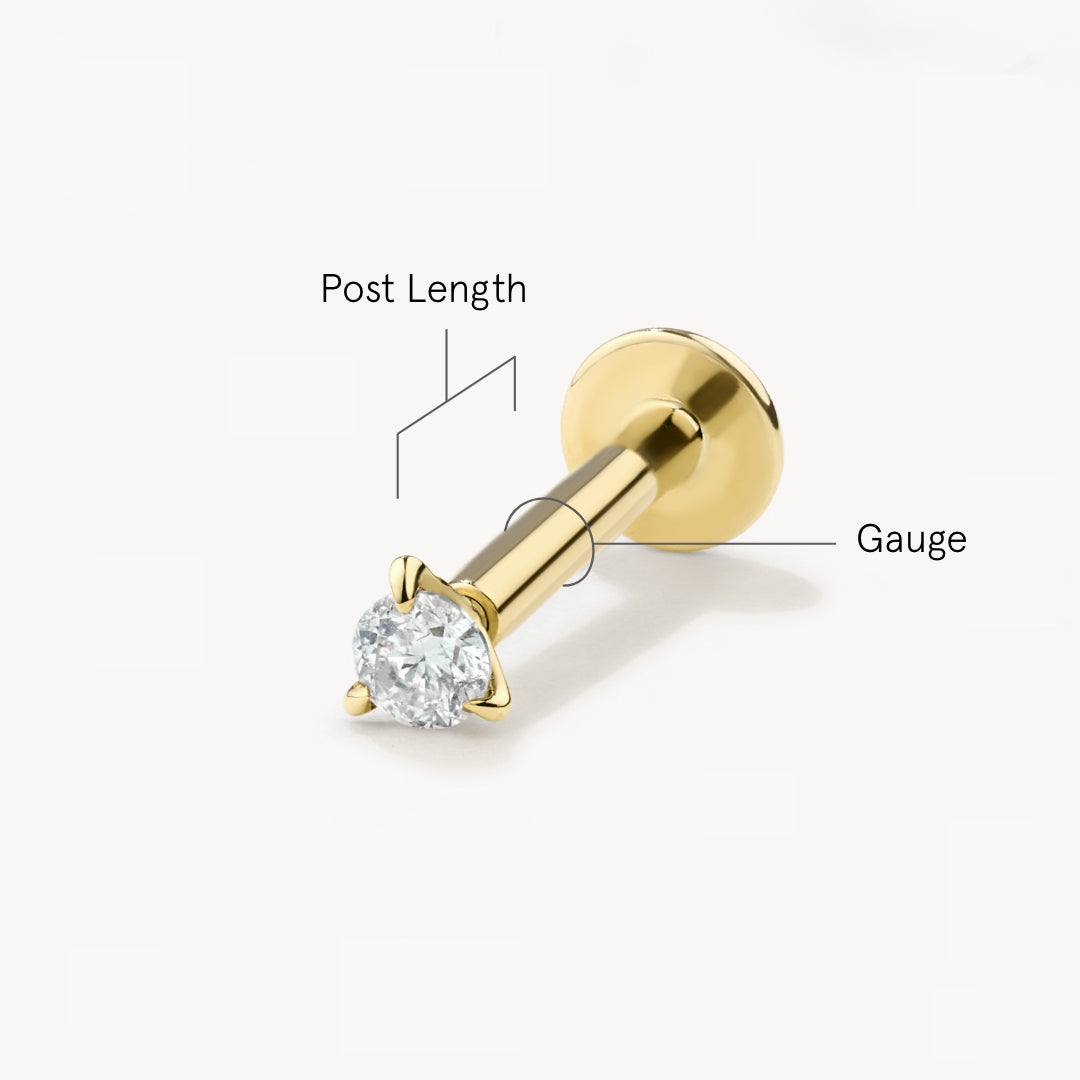 Cartilage Piercing Size Guide Medley Jewellery