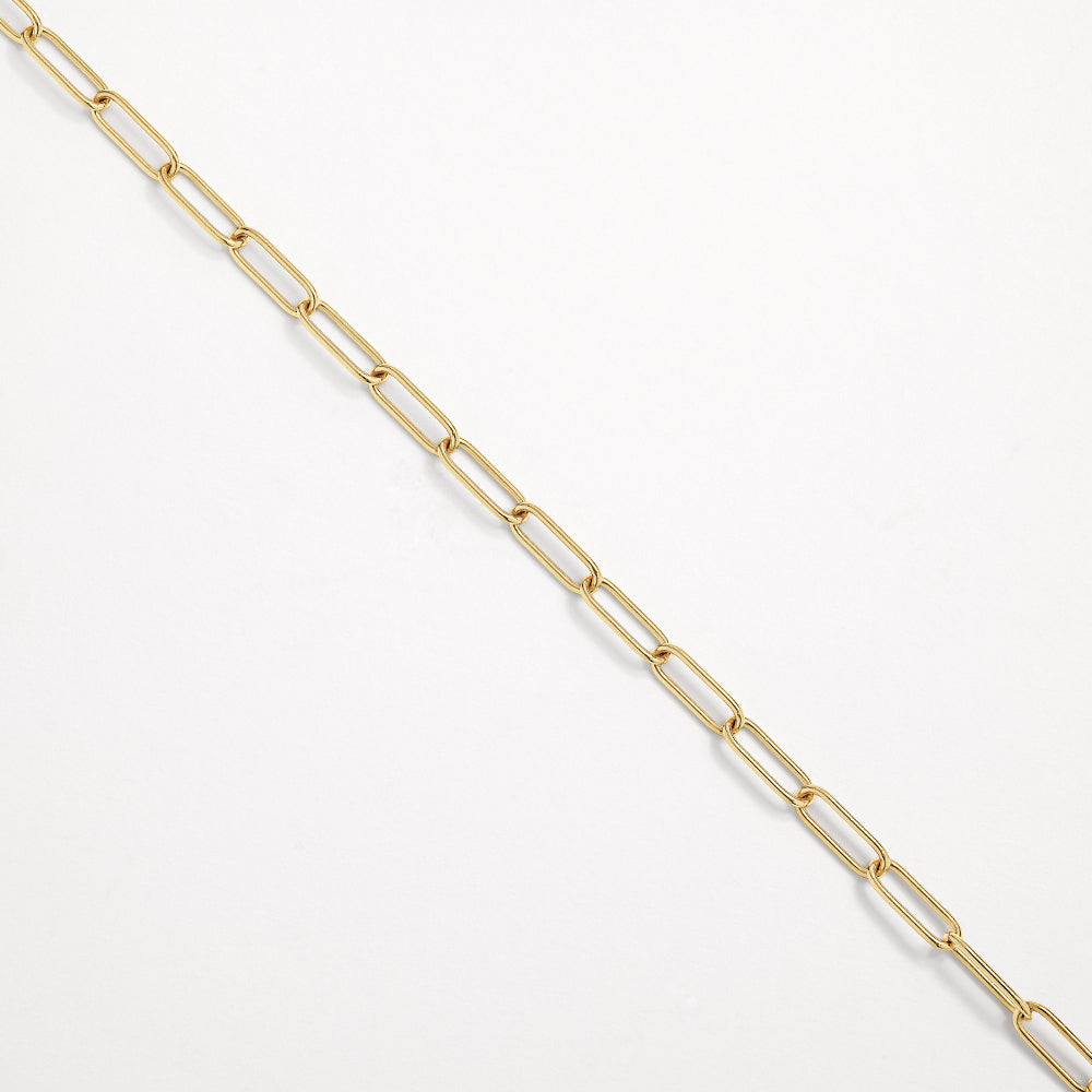 Charm Paperclip Chain Necklace in Gold