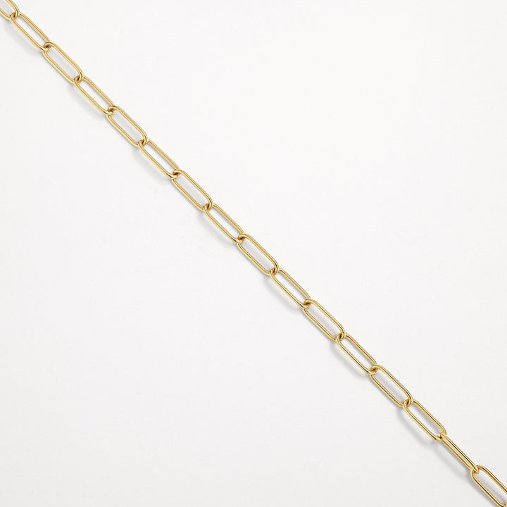 Charm Paperclip Chain Necklace in Gold