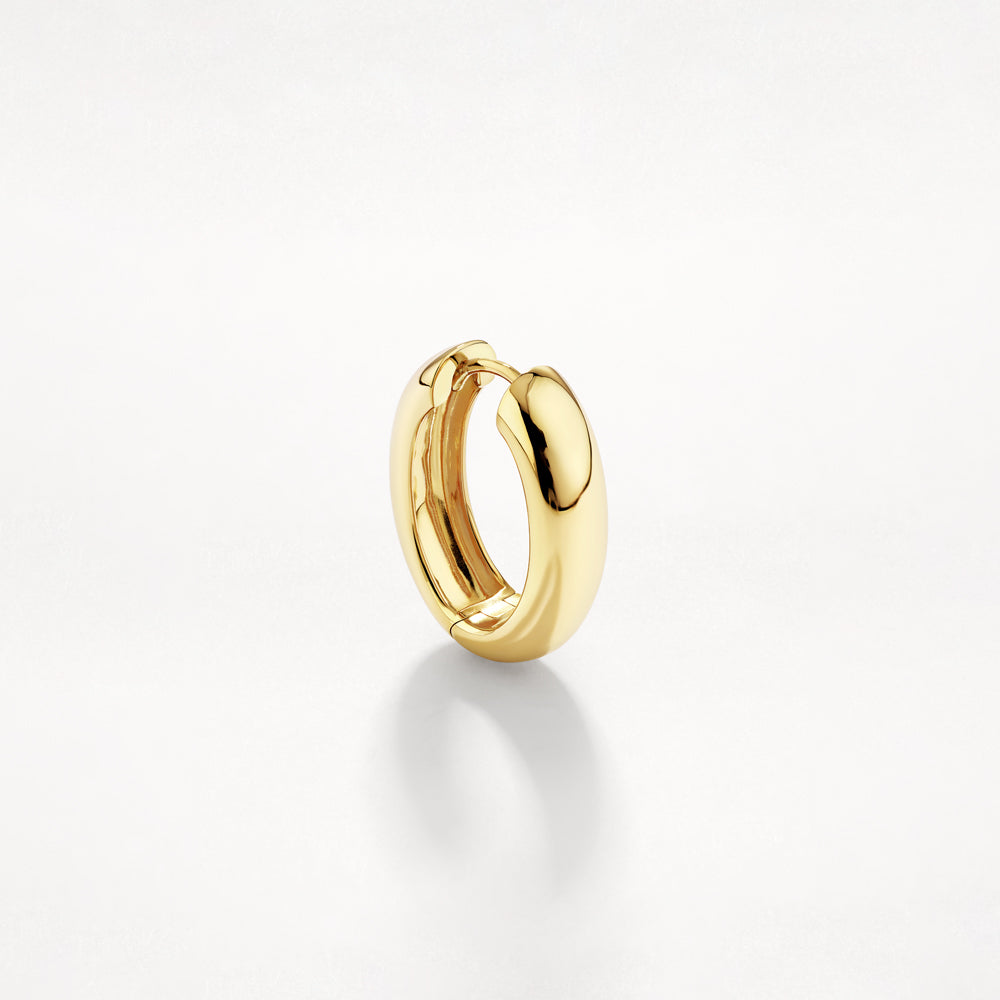 Oval Dome Hoop Earrings in Gold