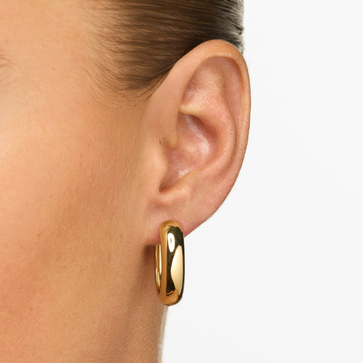 Oval Dome Hoop Earrings in Gold
