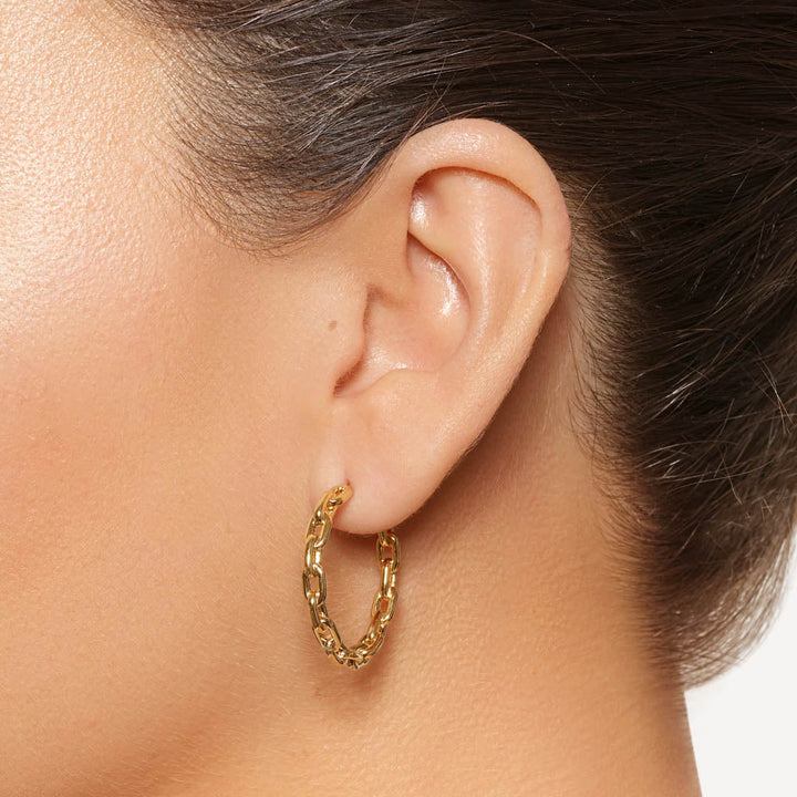 Medley Earrings Chain Link Hoops in Gold
