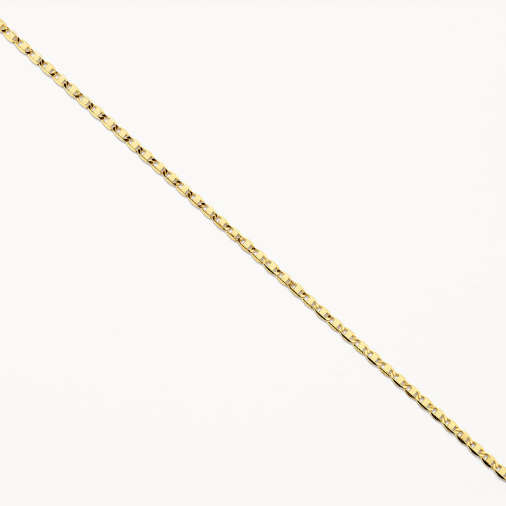 Fine Flat Anchor Chain Necklace in Gold