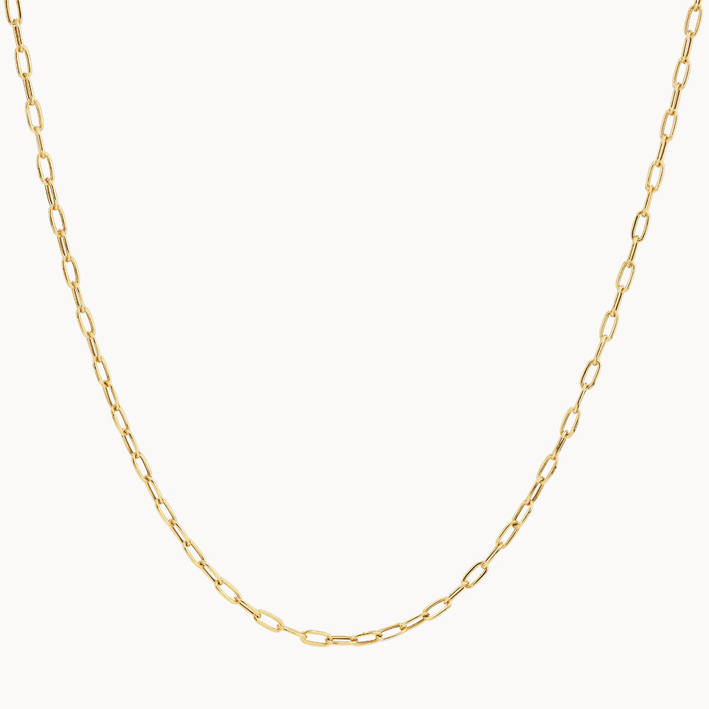 Medley Necklace Fine Paperclip Chain Necklace in 10k Gold