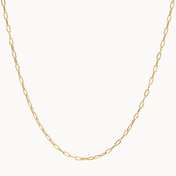 Medley Necklace Fine Paperclip Chain Necklace in 10k Gold