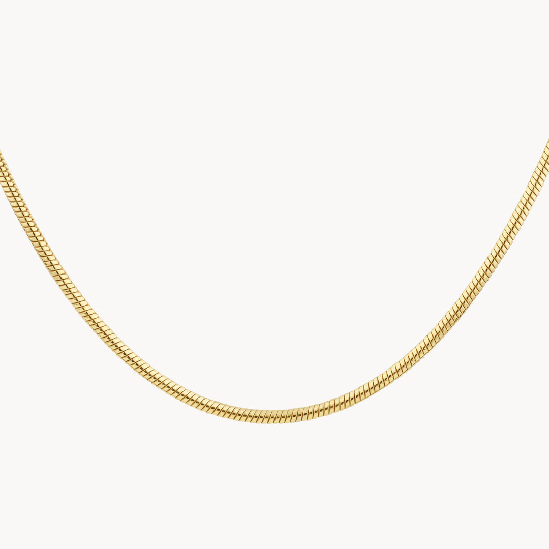 Medley Necklace Fine Snake Chain Necklace in Gold