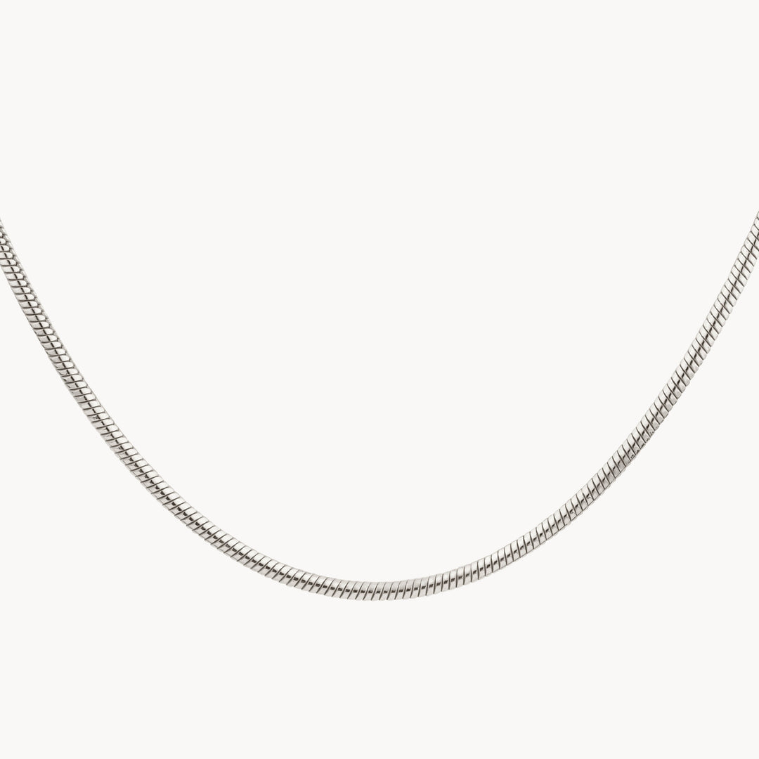 Medley Necklace Fine Snake Chain Necklace in Silver