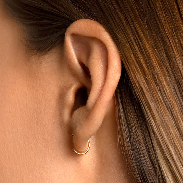 Medley Earrings Garnet January Birthstone Hook Earrings in 10k Gold