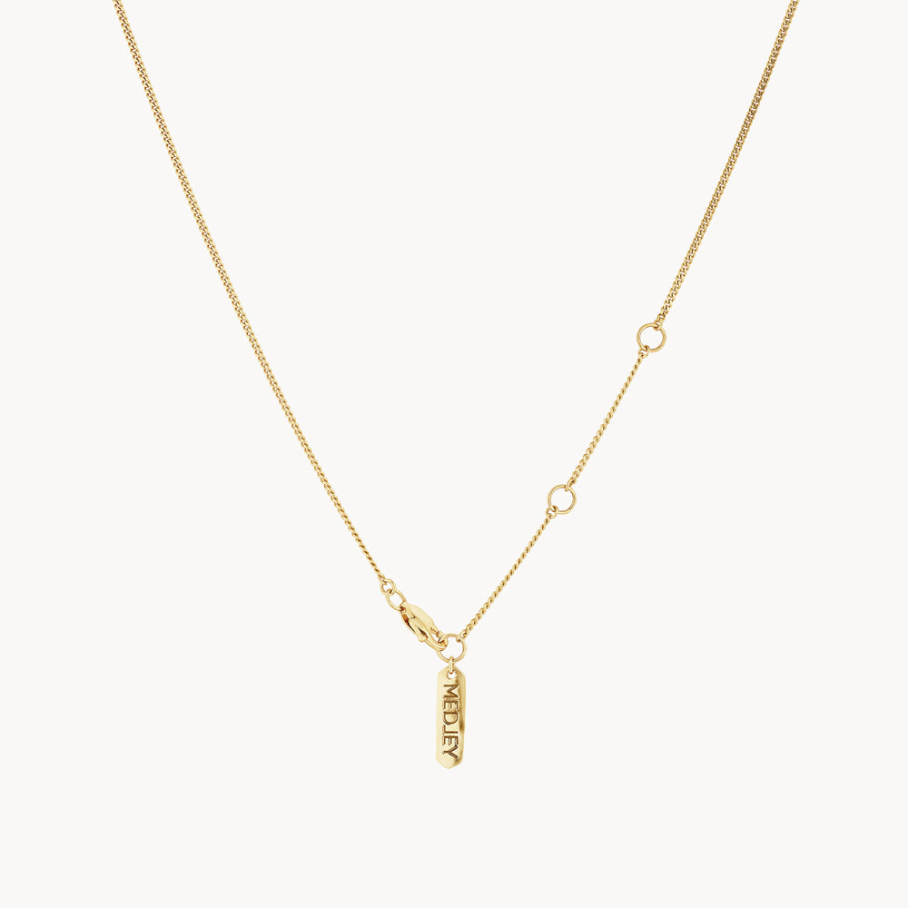 Medley Necklace Micro Black Onyx Unisex Pendant Necklace in Gold