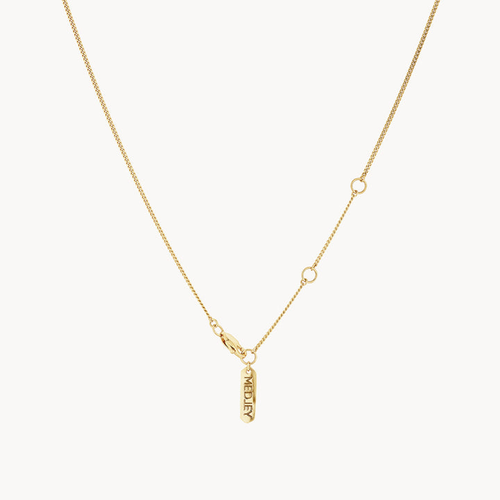 Medley Necklace Micro Black Onyx Unisex Pendant Necklace in Gold