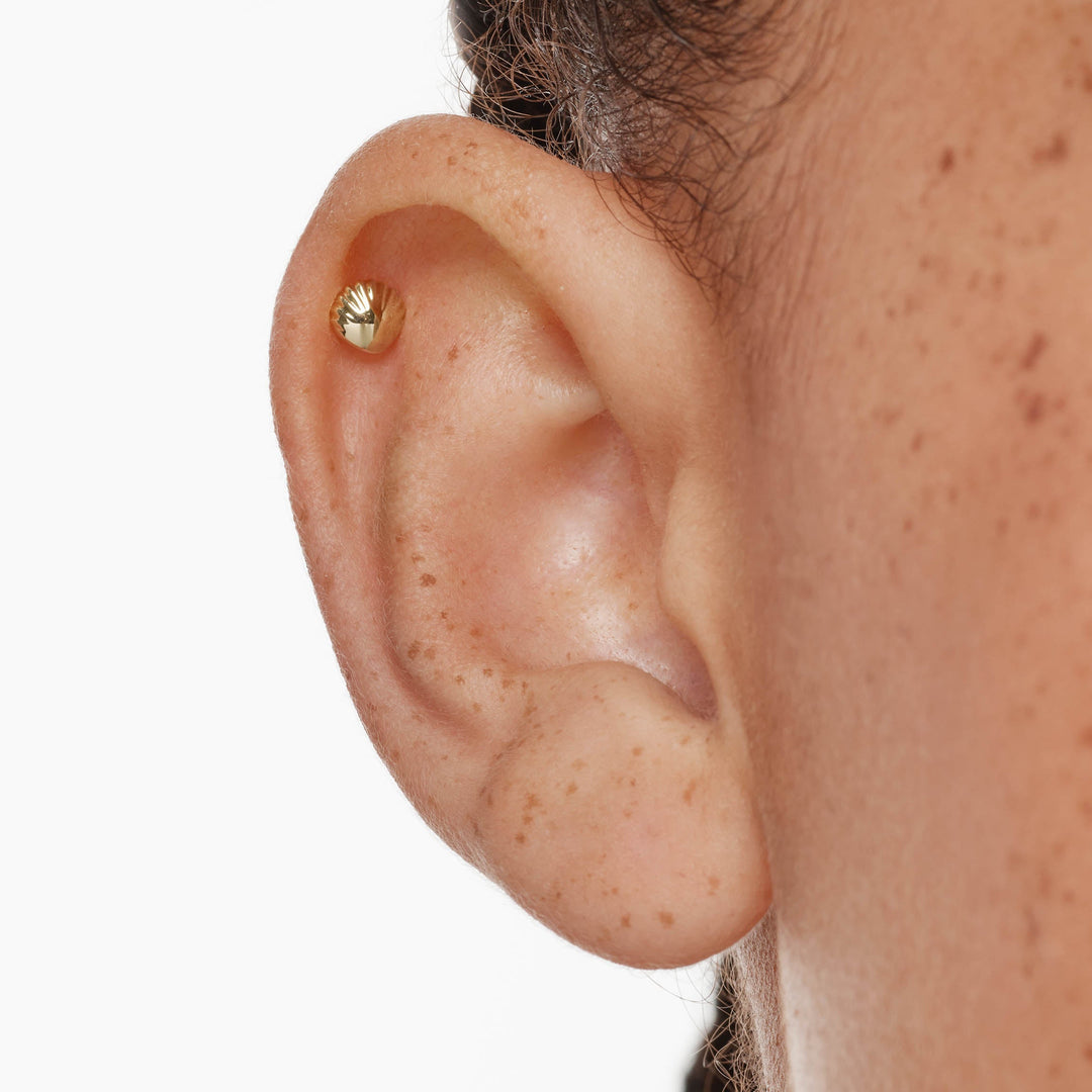 Medley Earrings Micro Shell Helix Single Stud Earring in 10k Gold