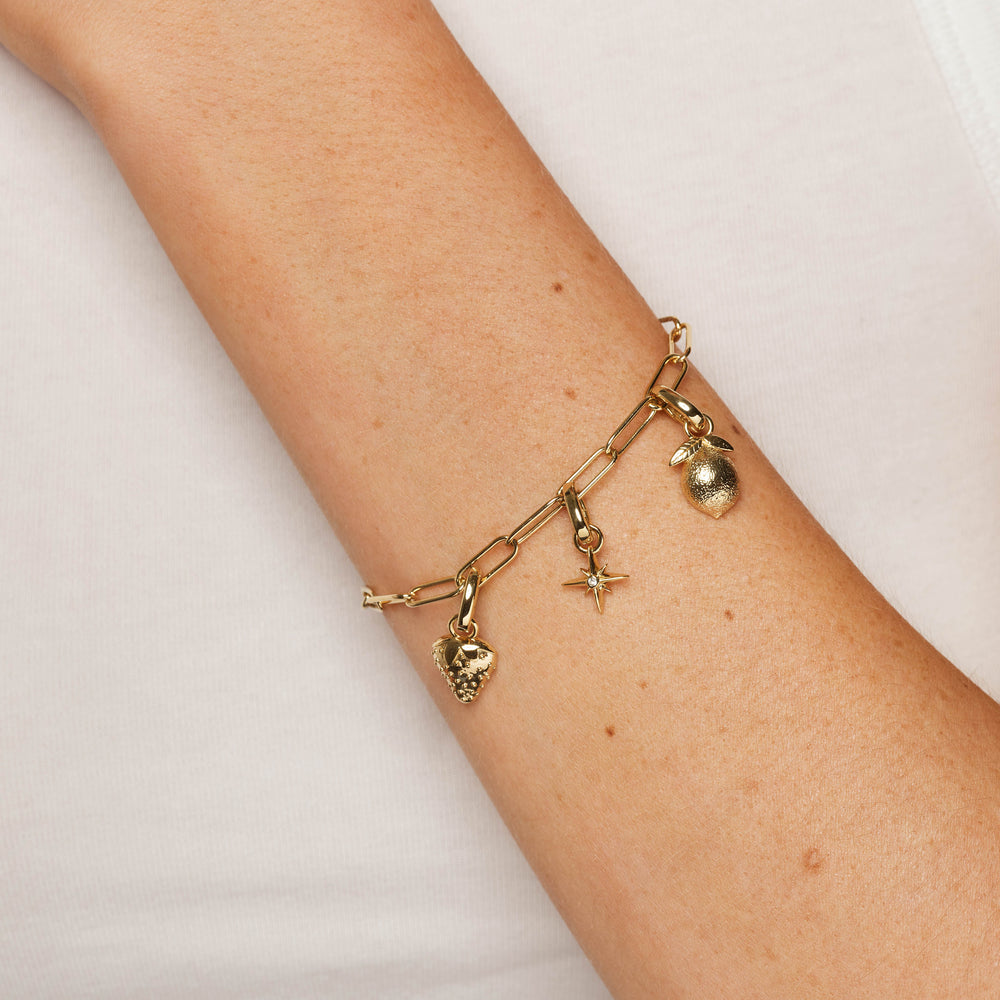 Medley Pendant North Star Charm Pendant in Gold