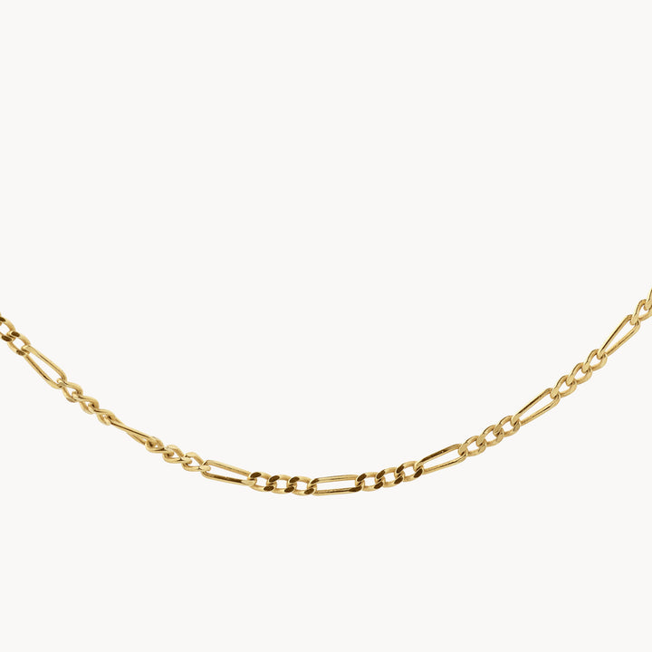 Medley Necklace Oh So Fine Figaro Chain in Gold