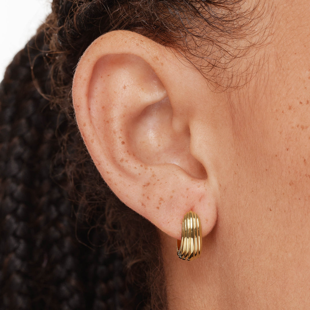 Medley Earrings Ribbed Dome Huggie Earrings in Gold