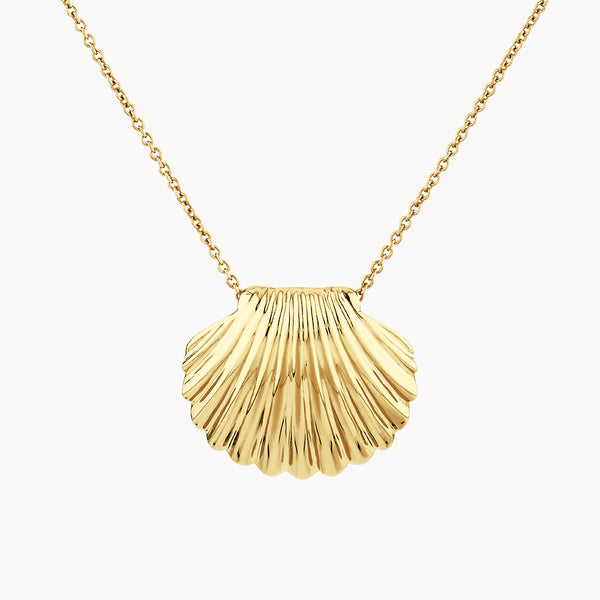 Shell Pendant Necklace in Gold Medley Jewellery