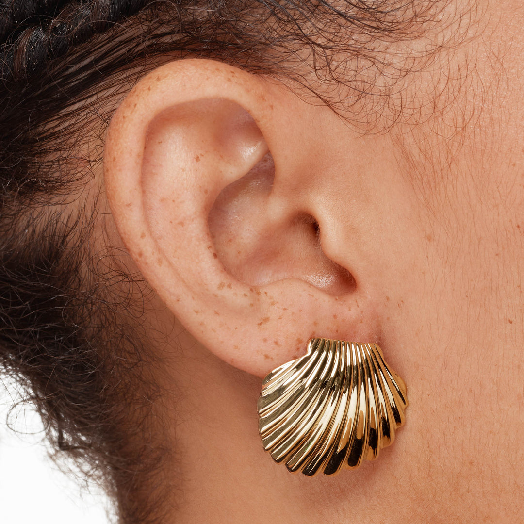 Medley Earrings Shell Stud Earrings in Gold