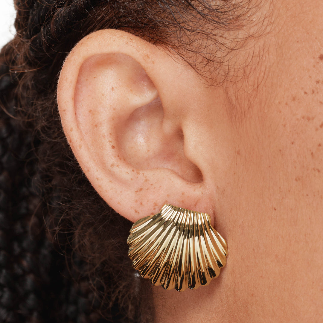 Medley Earrings Shell Stud Earrings in Gold