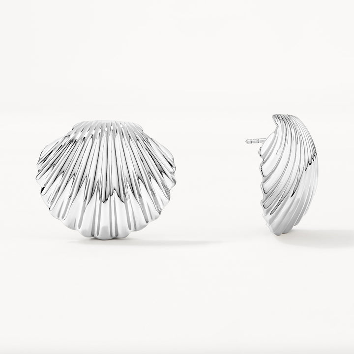 Medley Earrings Shell Stud Earrings in Silver