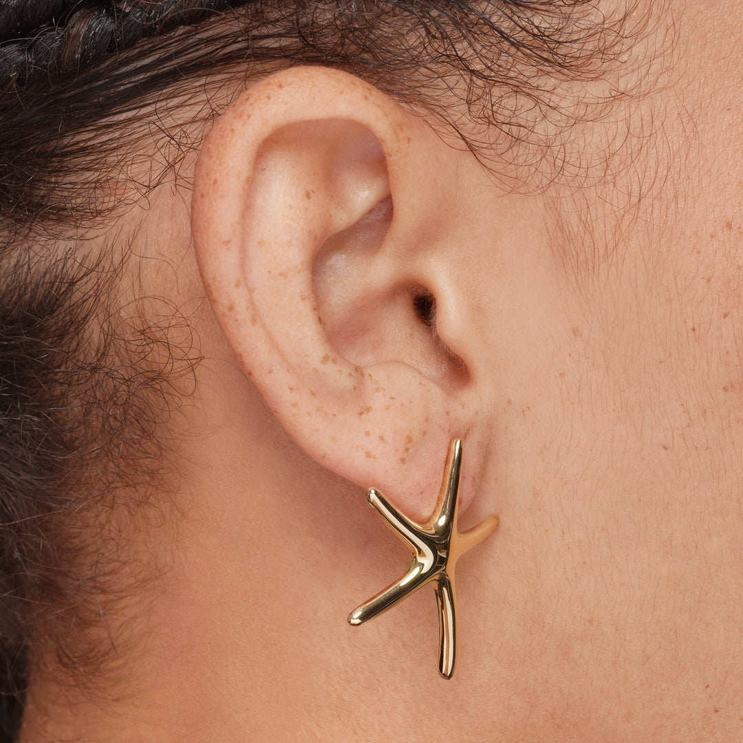 Medley Earrings Starfish Stud Earrings in Gold