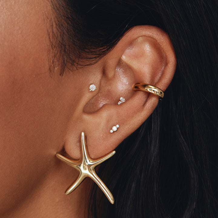 Medley Earrings Starfish Stud Earrings in Gold