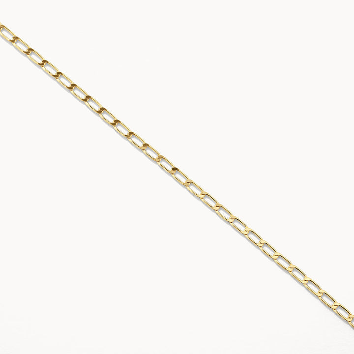 Thin Flat Curb Chain Necklace in Gold