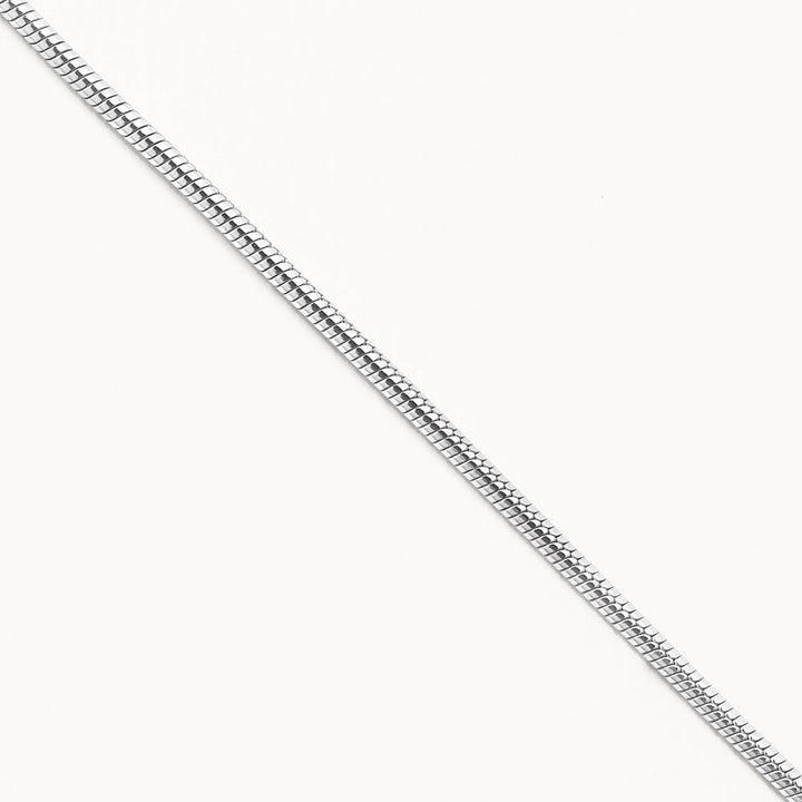 Fine Snake Chain Necklace in Silver